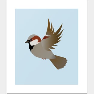 House sparrow flying Posters and Art